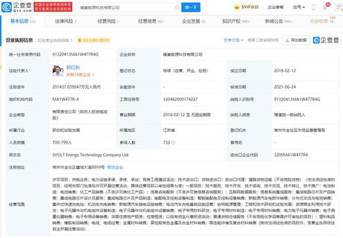 蜂巢能源斬獲Stellantis集團(tuán)160億大單 動(dòng)力電池產(chǎn)業(yè)全球化競爭下的中國力量